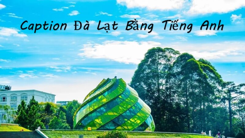 50+ Caption Đà Lạt tiếng Anh hay và ý nghĩa nhất