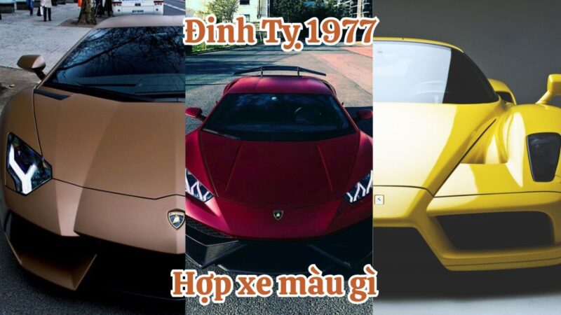 Đinh Tỵ 1977 hợp xe màu gì? Màu kỵ tuổi Rắn mạng Thổ