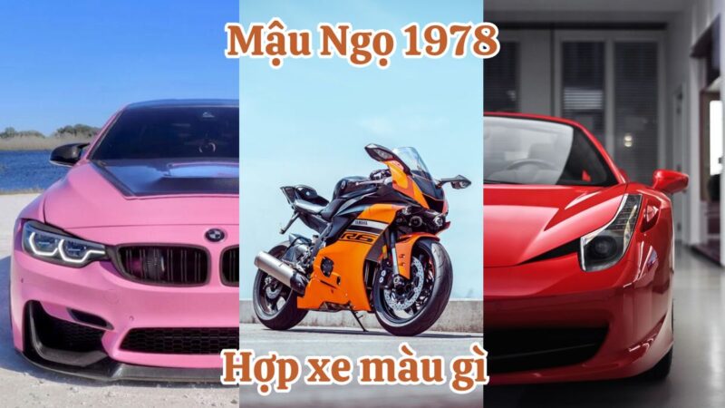 Mậu Ngọ 1978 hợp xe màu gì? Màu tương hợp, tương khắc tuổi Mậu Ngọ