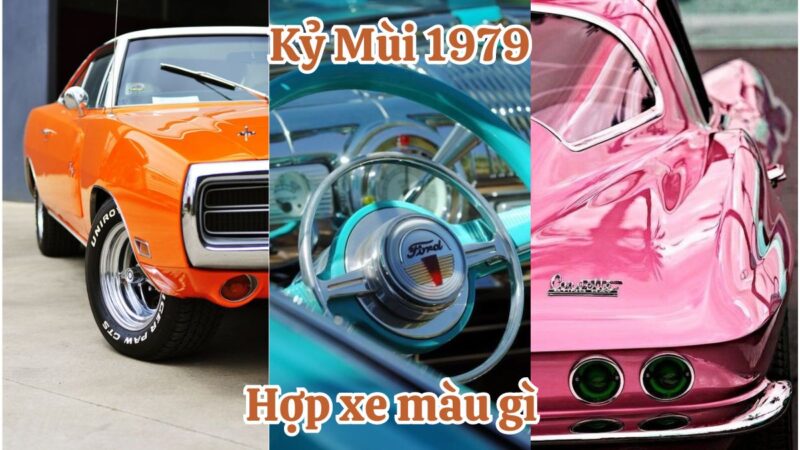 Kỷ Mùi 1979 hợp xe màu gì? Màu xe phong thủy dành cho tuổi Kỷ Mùi