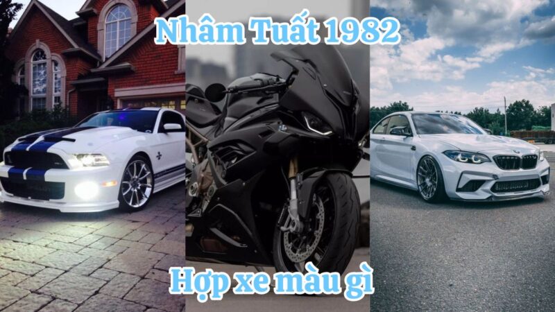 1982 hợp xe màu gì? Màu may mắn tuổi Nhâm Tuất