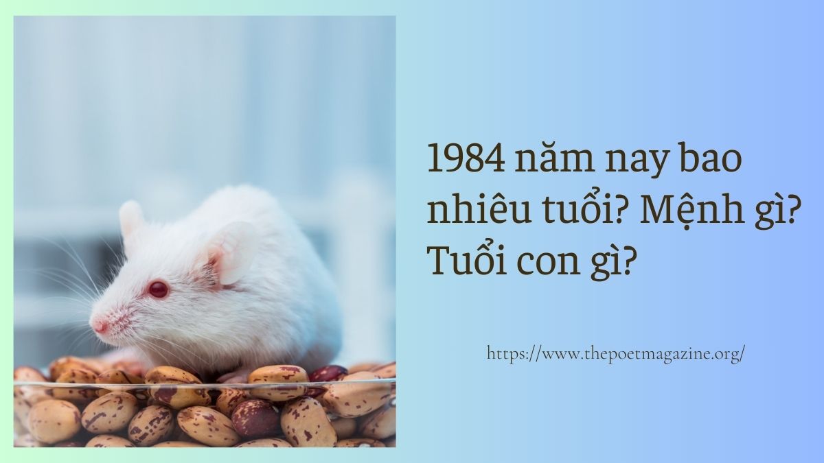 Tuổi Giáp Tý Bao Nhiêu Tuổi?