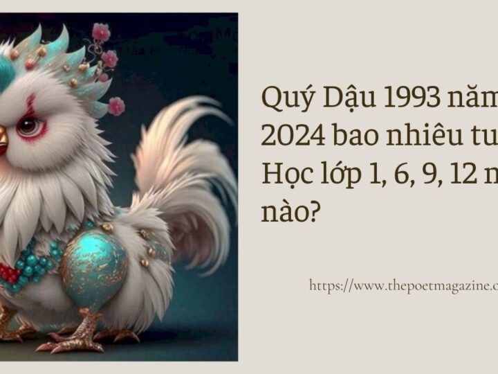 Quý Dậu 1993 năm nay 2024 bao nhiêu tuổi? Học lớp 1, 6, 9, 12 năm nào?