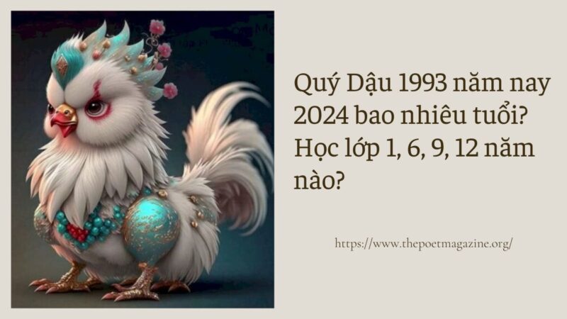 Quý Dậu 1993 năm nay 2025 bao nhiêu tuổi? Học lớp 1, 6, 9, 12 năm nào?