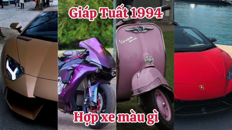 1994 hợp xe màu gì nhất? Top màu xe hợp tuổi Giáp Tuất