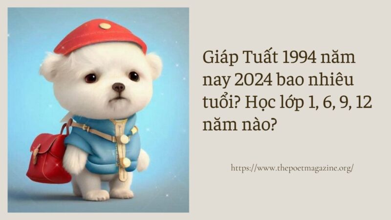 Giáp Tuất 1994 năm nay 2024 bao nhiêu tuổi? Học lớp 1, 6, 9, 12 năm nào?