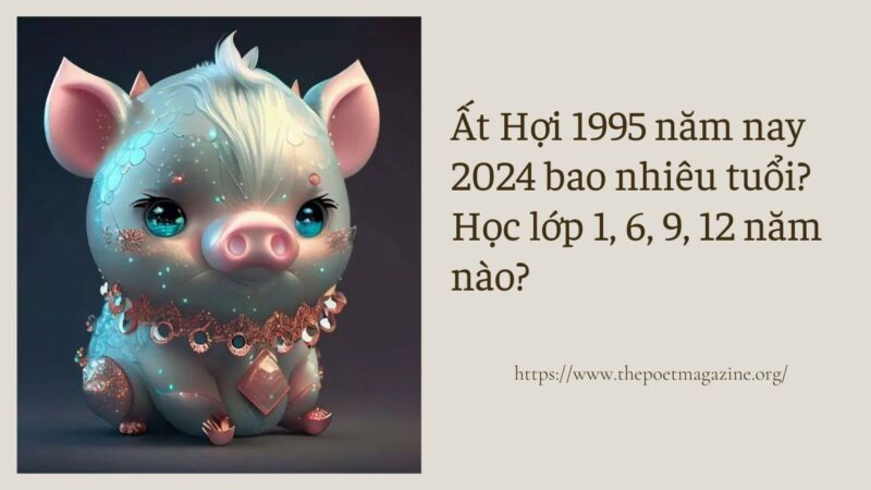 Ất Hợi 1995 năm nay 2024 bao nhiêu tuổi? Học lớp 1, 6, 9, 12 năm nào?