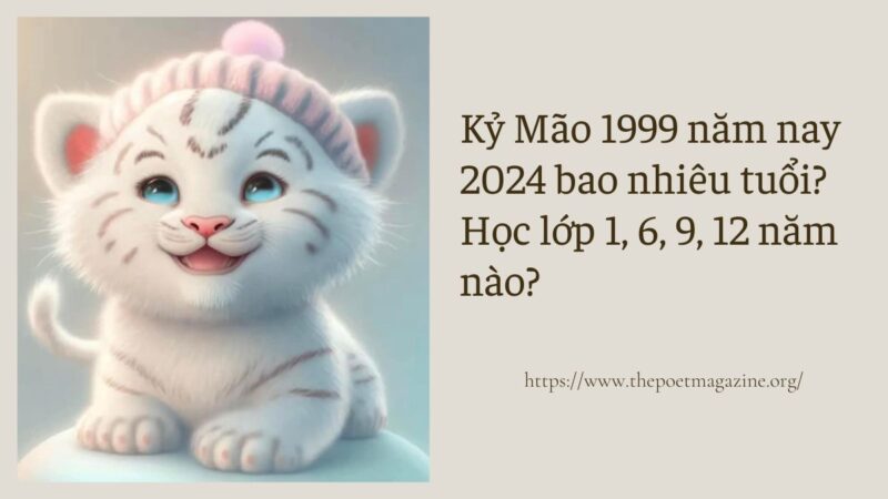 Kỷ Mão 1999 năm nay 2024 bao nhiêu tuổi? Học lớp 1, 6, 9, 12 năm nào?