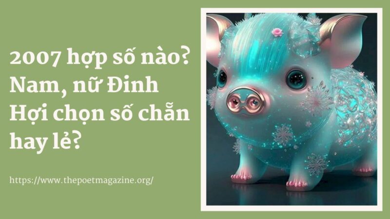 Sinh Năm 2007 Mệnh Gì? Hợp Số Nào?