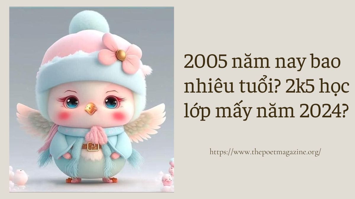 2005 bao nhiêu tuổi năm 2022? Tìm hiểu ngay!