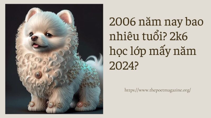 2006 năm nay bao nhiêu tuổi? Sinh năm 2k6 học lớp mấy năm 2024?