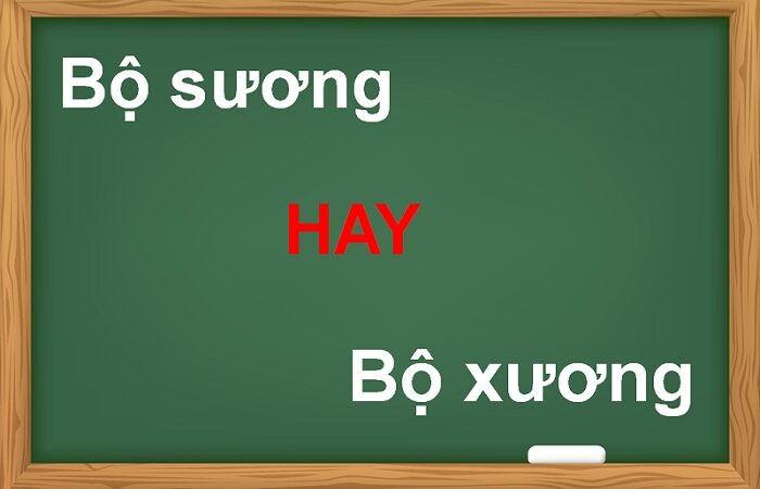 Bộ sương hay bộ xương đúng chính tả?