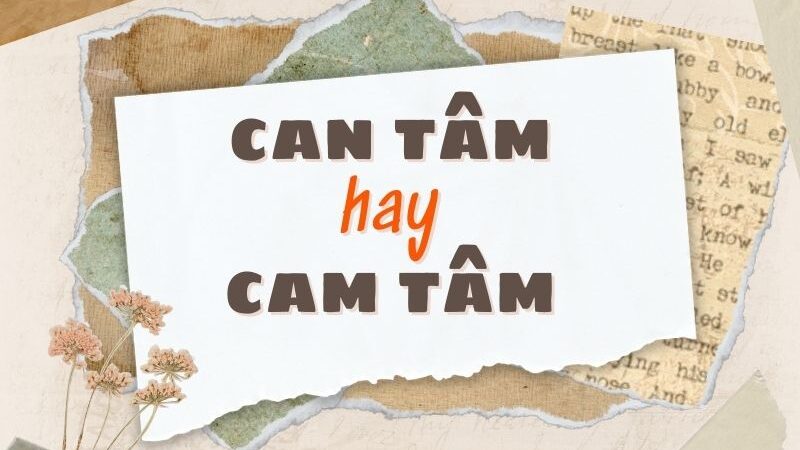 Can tâm hay cam tâm đúng chính tả?