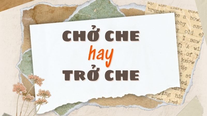 Chở che hay trở che đúng chính tả?