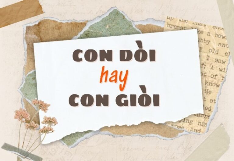 Con dòi hay con giòi đúng chính tả? Nghĩa là gì?