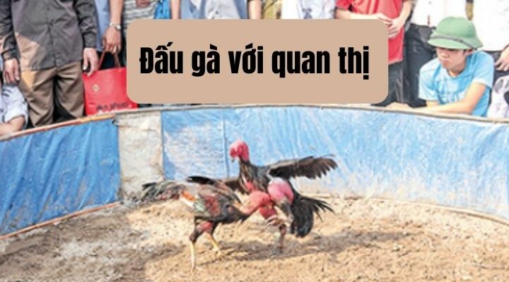 Truyện dân gian: Đấu gà với quan thị