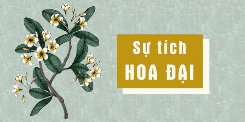 Truyện cổ tích Việt Nam: Sự tích hoa đại