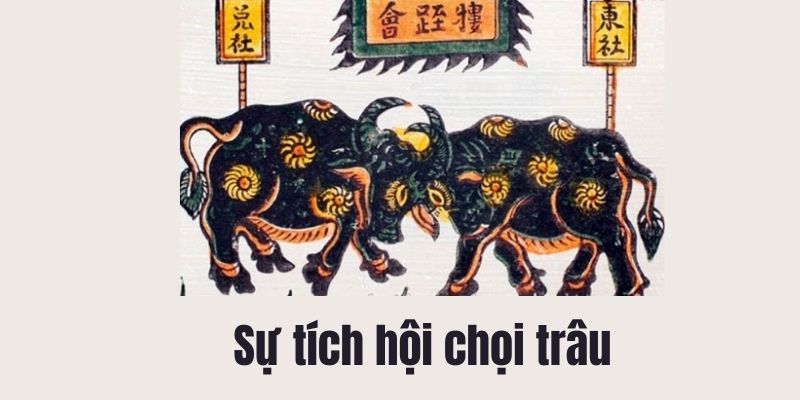 Truyện dân gian: Sự tích hội chọi trâu