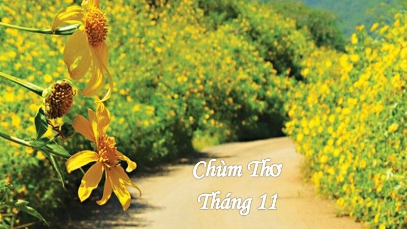 Trọn bộ thơ về tháng 11 hay, chùm thơ tình tháng 11 đầu đông