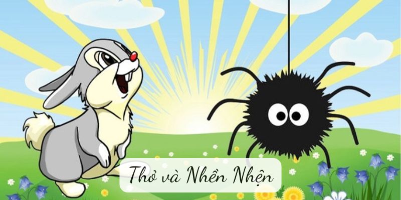 Truyện ngụ ngôn: Thỏ và Nhền Nhện