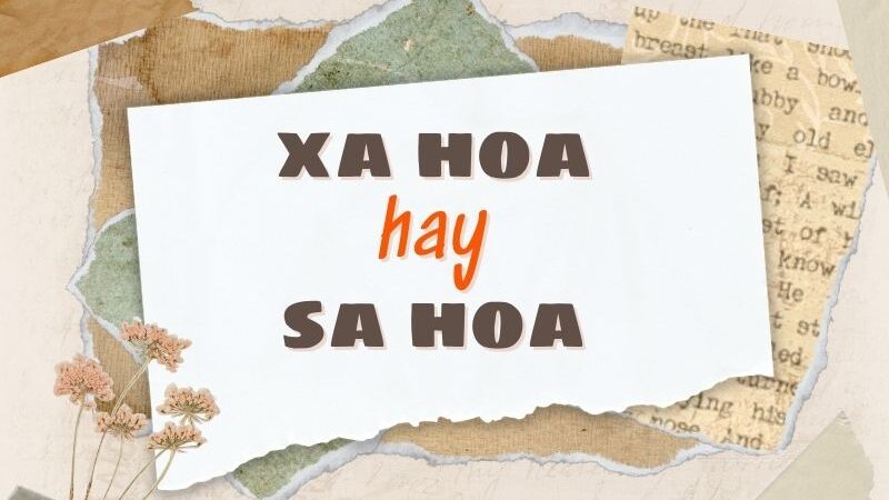 Xa hoa hay sa hoa đúng chính tả?