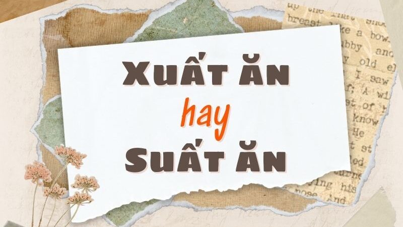 Xuất ăn hay suất ăn là cách viết đúng chính tả? Tìm hiểu cách dùng từ chính xác