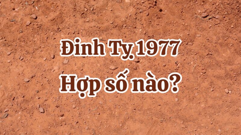 1977 hợp số nào? Đinh Tỵ hợp số chẵn hay lẻ?