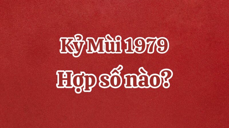 1979 hợp số nào? Top số may mắn cho tuổi Kỷ Mùi