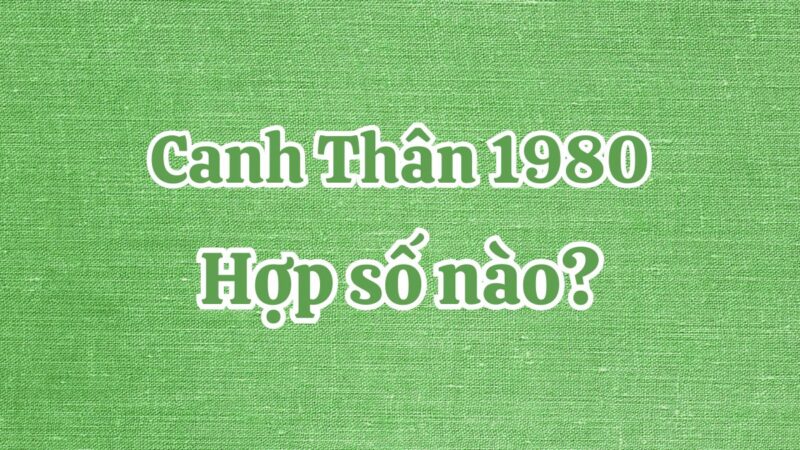 Tuổi Canh Thân 1980 hợp số nào? Tổng hợp số phong thủy tuổi Canh Thân