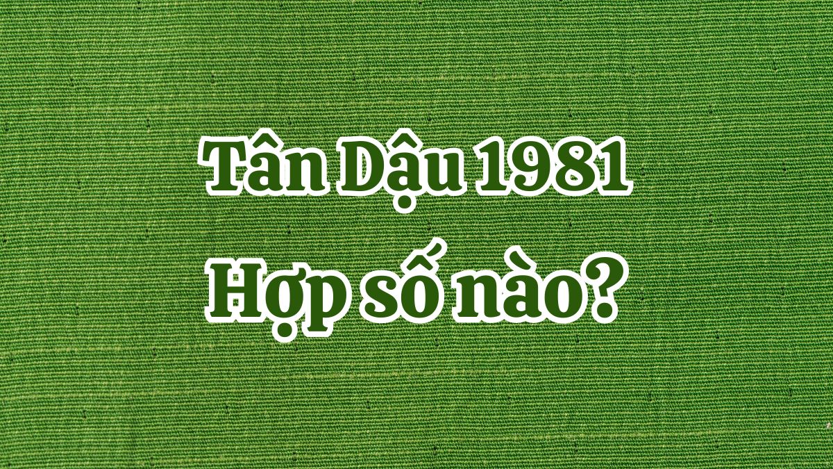 Tuổi Tân Dậu 1981 Hợp Với Số Điện Thoại Nào?