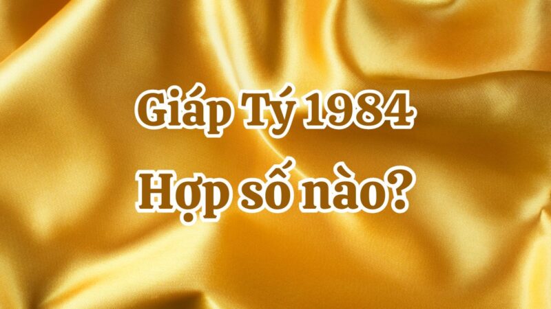 Giáp Tý 1984 hợp số nào? Nam, nữ hợp chẵn hay lẻ?