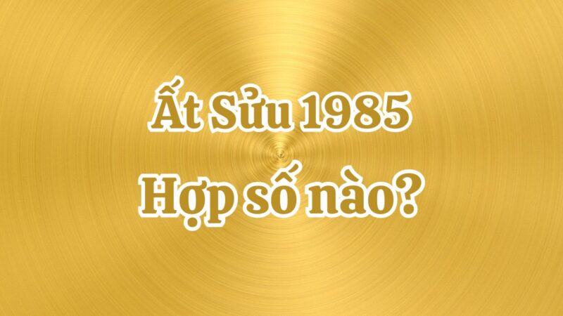 1985 hợp số nào? Top số may mắn tuổi Ất Sửu