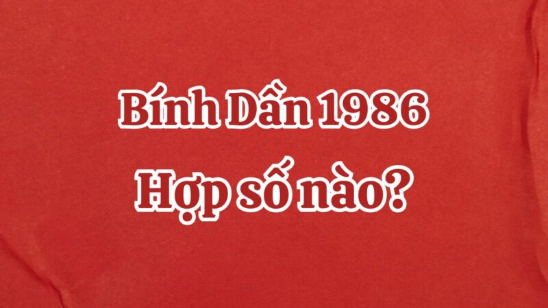 1986 hợp số nào? Top số phong thủy hợp tuổi Bính Dần