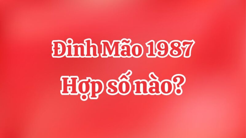 Tuổi Mão 1987 Hợp Số Nào - Bí Quyết Chọn Số May Mắn Tăng Vận Mệnh