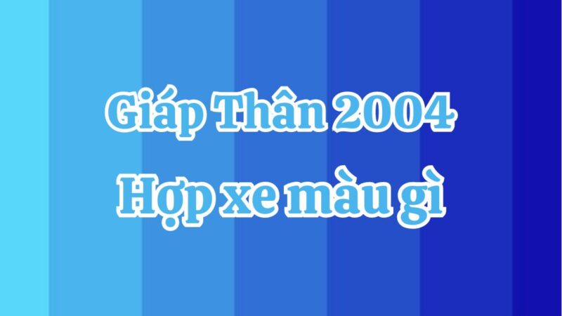 2004 hợp xe màu gì? Top màu xe phong thủy tuổi Giáp Thân