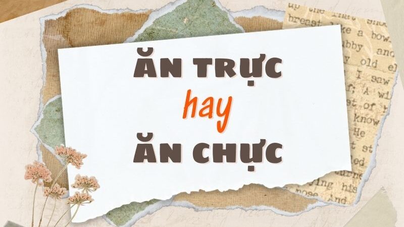 Ăn trực hay ăn chực đúng chính tả?