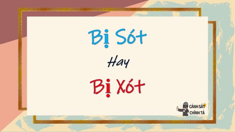 Bị sót hay bị xót từ nào đúng chính tả? Giải nghĩa chi tiết