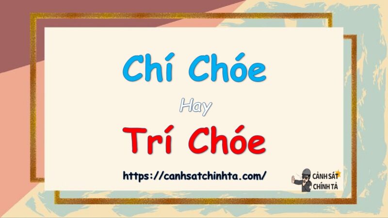 Chí choé hay trí choé là đúng chính tả?