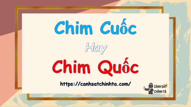 Chim cuốc hay Chim quốc là đúng chính tả?