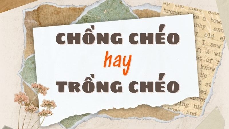 Chồng chéo hay trồng chéo đúng chính tả?