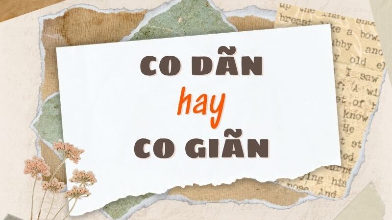 Co dãn hay co giãn đúng chính tả?