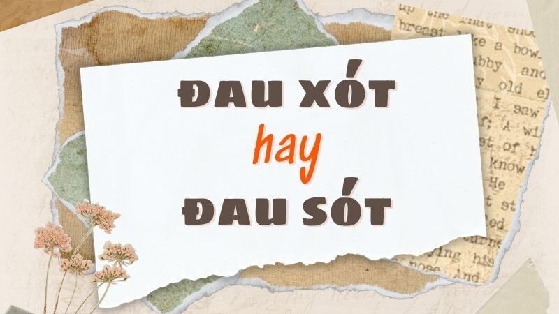 Đau xót hay đau sót đúng chính tả?