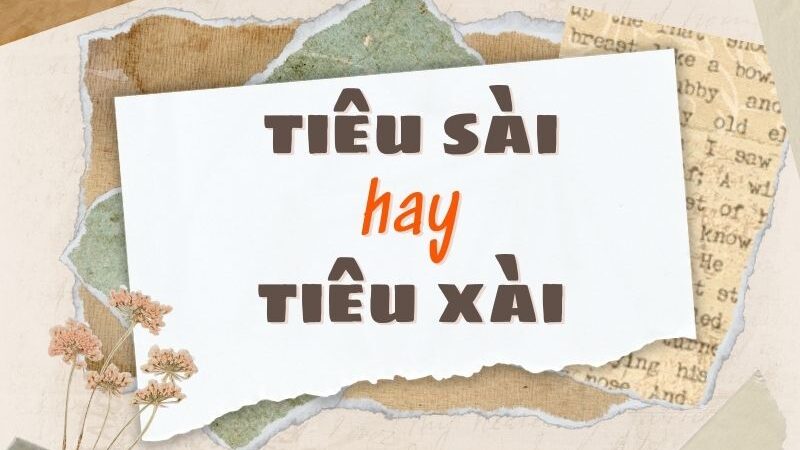 Tiêu sài hay tiêu xài đúng chính tả?