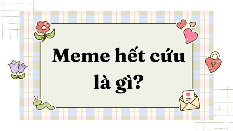 Tổng hợp meme hết cứu | Nguồn gốc meme hết cứu