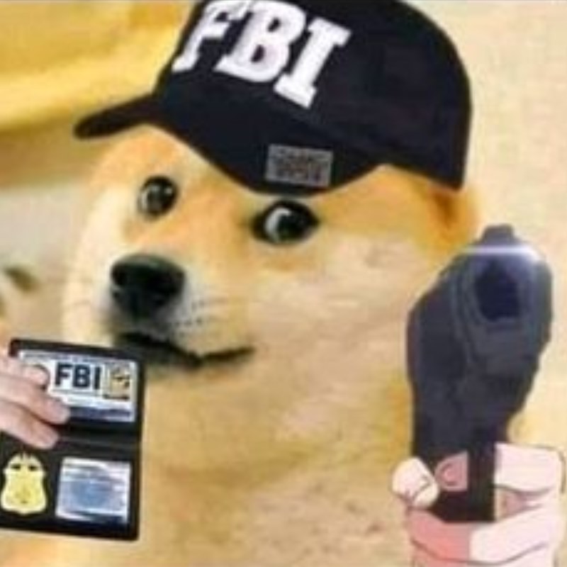 Cheems FBI meme