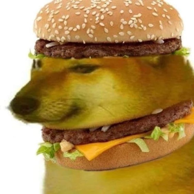 Cheemsburger meme