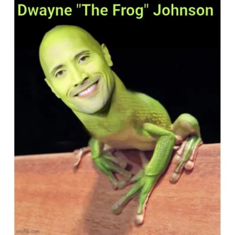 Meme The Rock Frog