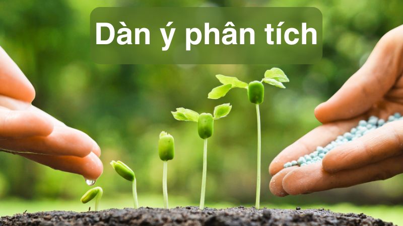 phân tích bài lời của cây