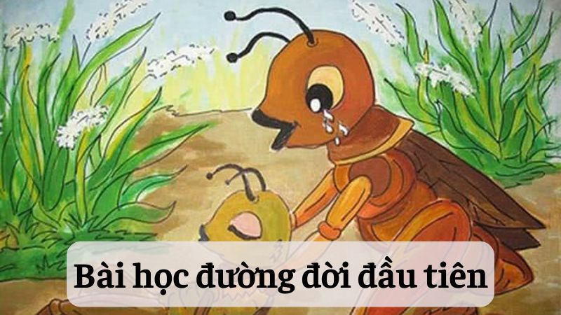 Phân tích tác phẩm và nhân vật Dế Mèn trong Bài học đường đời đầu tiên