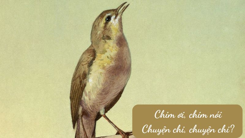 soạn bài con chim chiền chiện